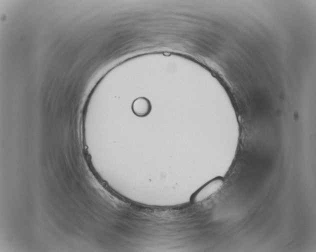 X0000062851516200602031614