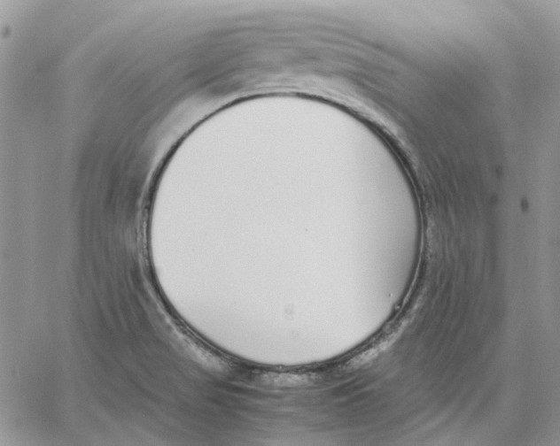 X0000062851517200602031614