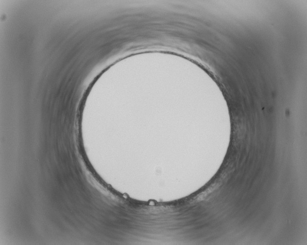 X0000062851518200602031614