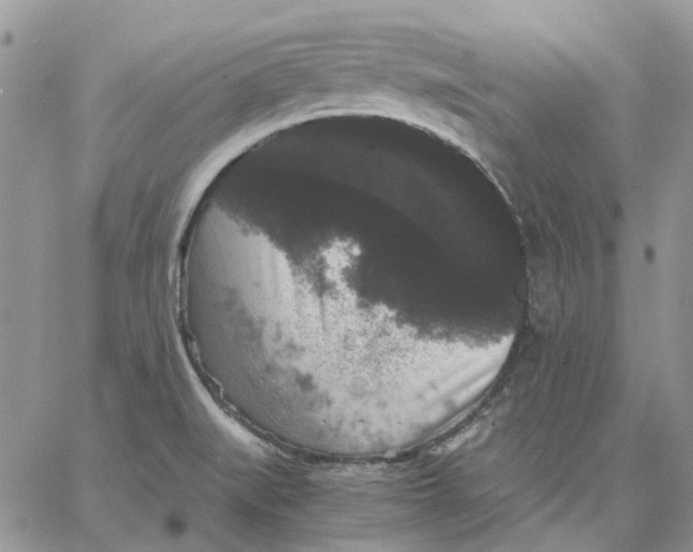 X0000062851519200602031614