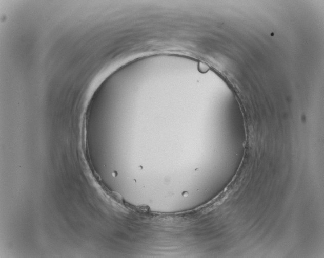 X0000062851520200602031614