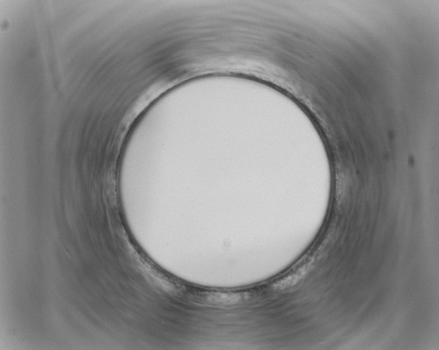 X0000062851521200602031614