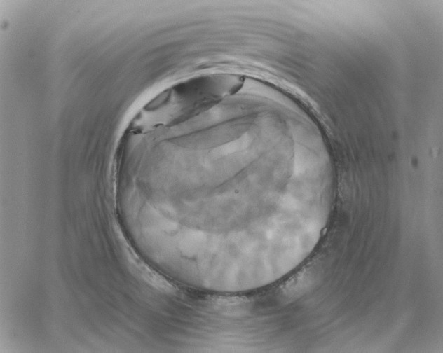 X0000062851522200602031614