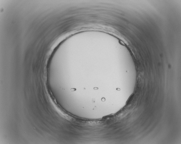 X0000062851523200602031614