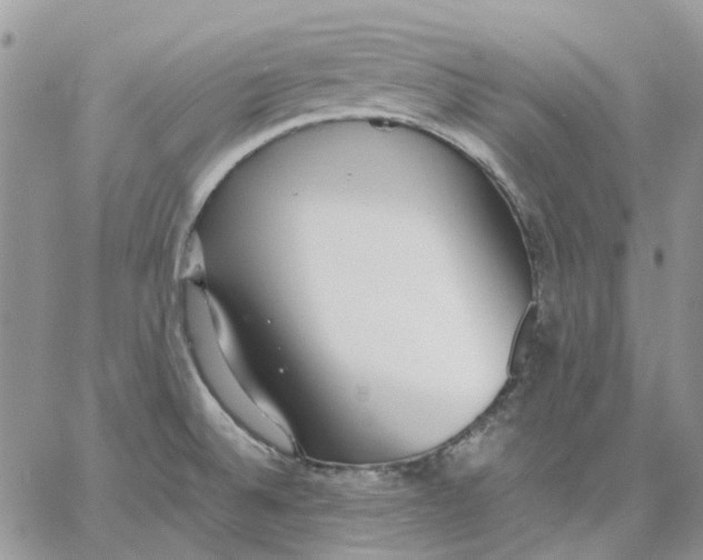 X0000062851524200602031614