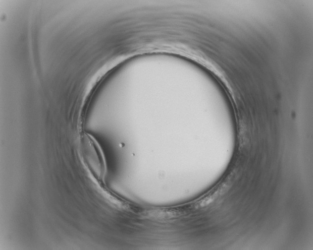 X0000062851525200602031614