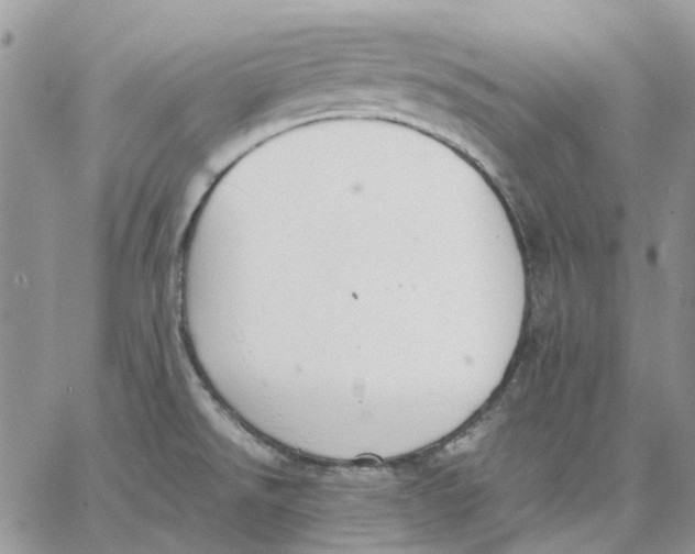 X0000062851526200602031614