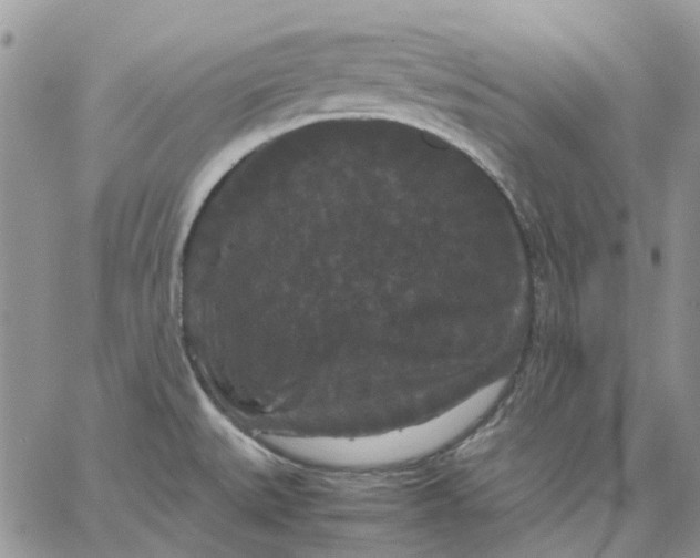 X0000062851527200602031614