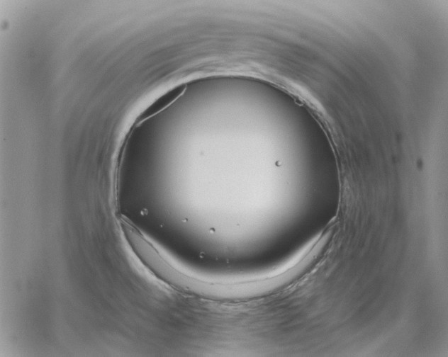 X0000062851528200602031614