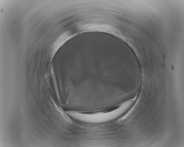 X0000062851529200602031614