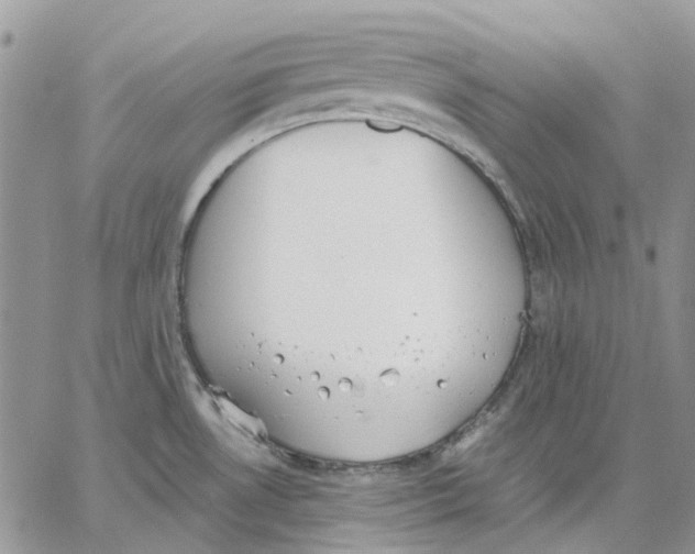 X0000062851530200602031614