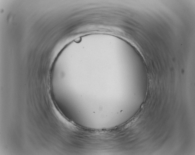 X0000062851531200602031614