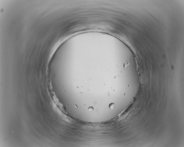 X0000062851532200602031614