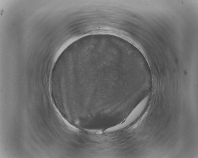 X0000062851533200602031614