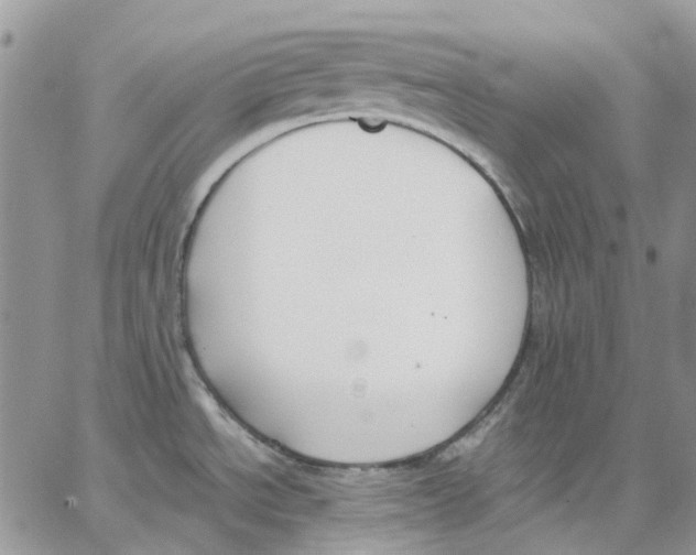 X0000062851534200602031614