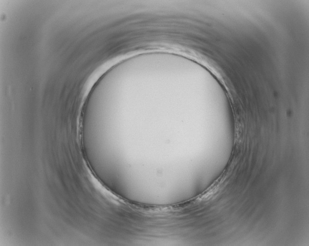 X0000062851535200602031614