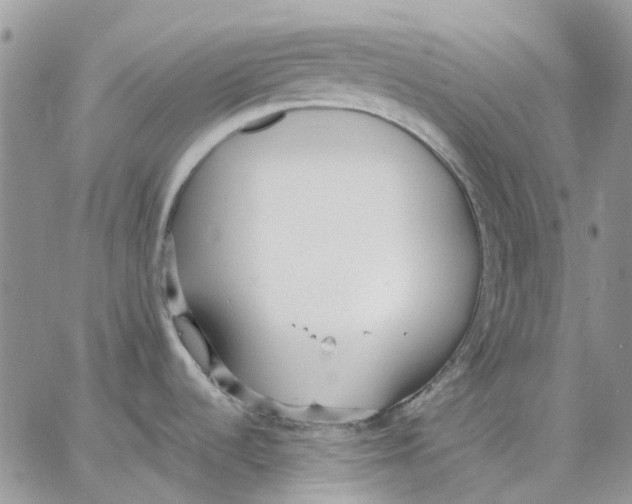 X0000062851536200602031614