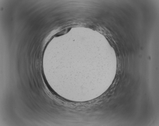 X0000062850003200602101613