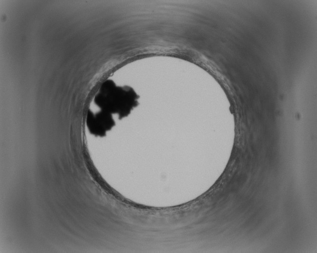 X0000062850011200602101613
