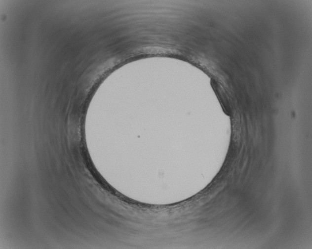 X0000062850015200602101613