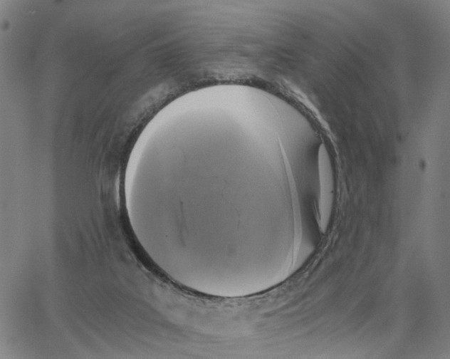 X0000062850019200602101613