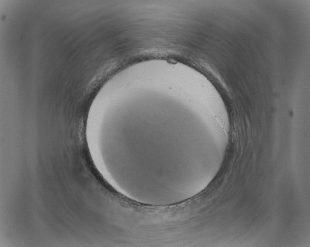 X0000062850023200602101613