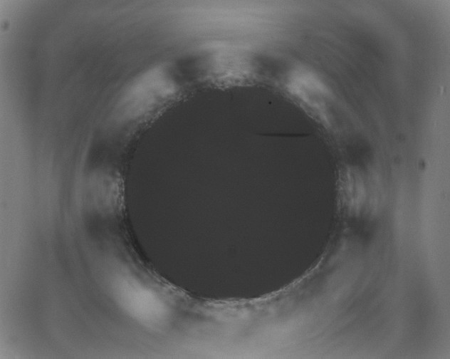 X0000062850029200602101613