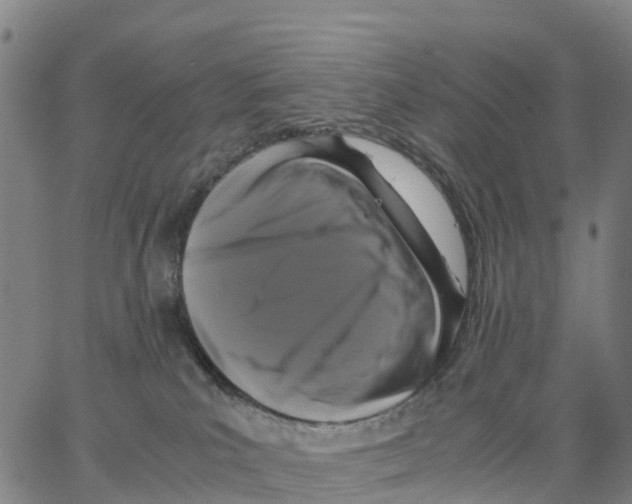 X0000062850039200602101613