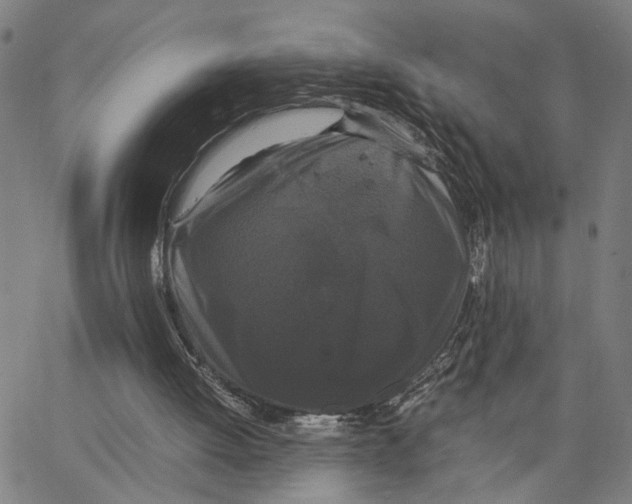 X0000062850052200602101612
