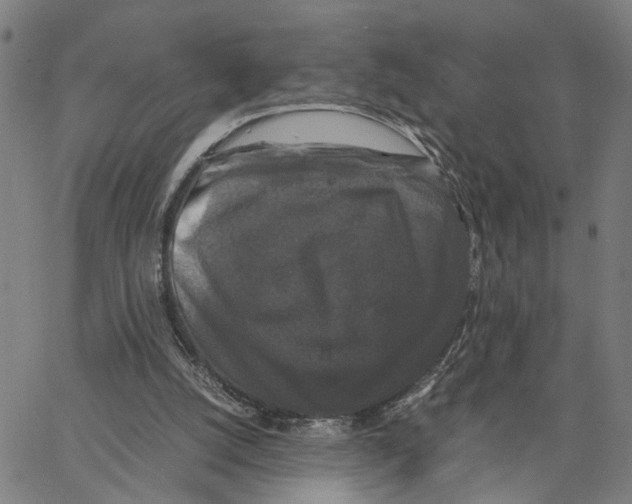 X0000062850056200602101612