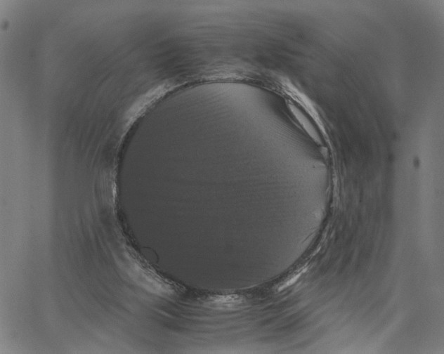 X0000062850059200602101612