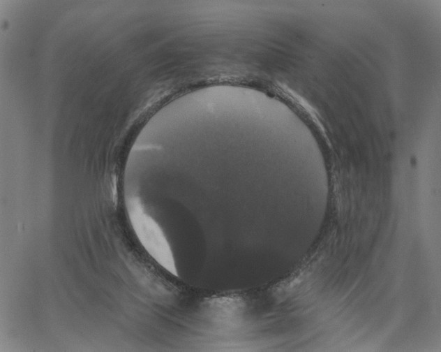 X0000062850067200602101612