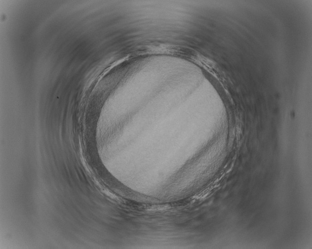 X0000062850097200602101612