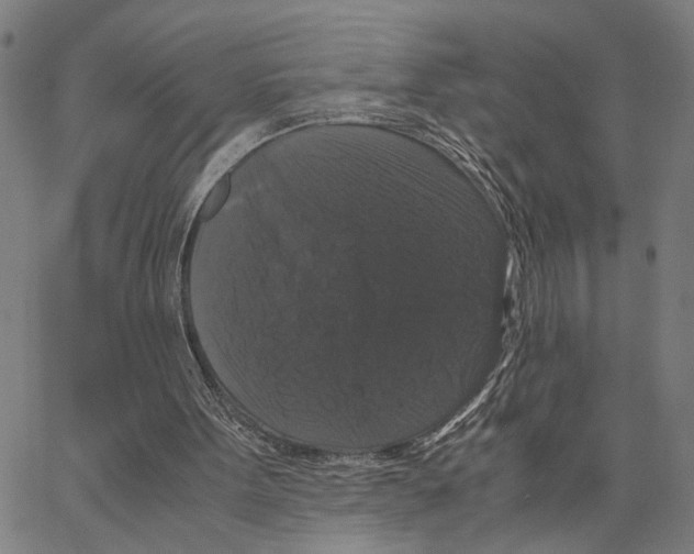 X0000062850099200602101612