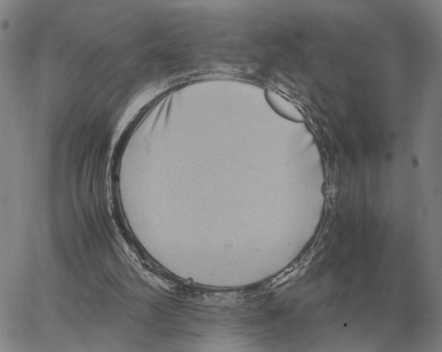 X0000062850102200602101612