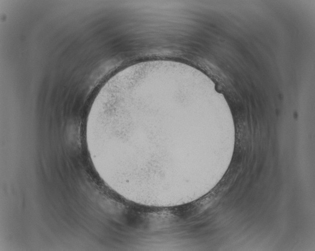 X0000062850112200602101611