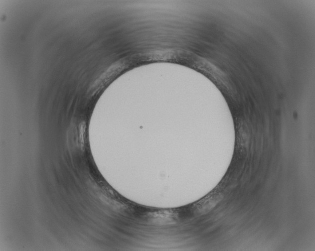 X0000062850118200602101611