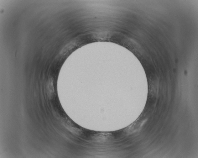 X0000062850128200602101611