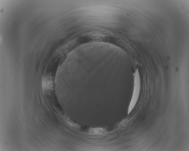 X0000062850137200602101611