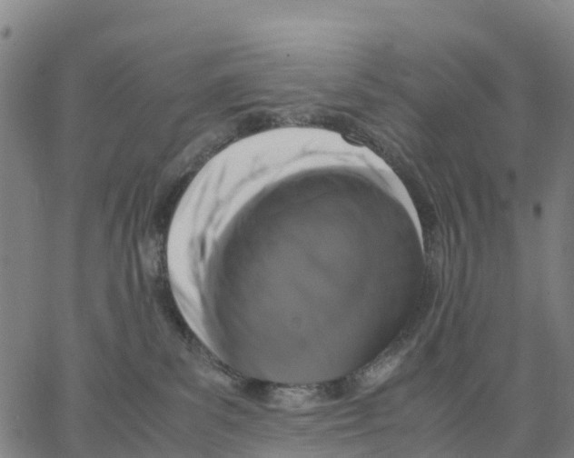 X0000062850139200602101611