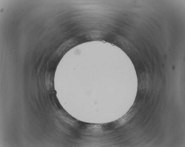 X0000062850140200602101611