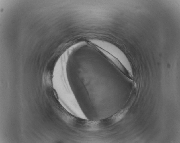 X0000062850143200602101611