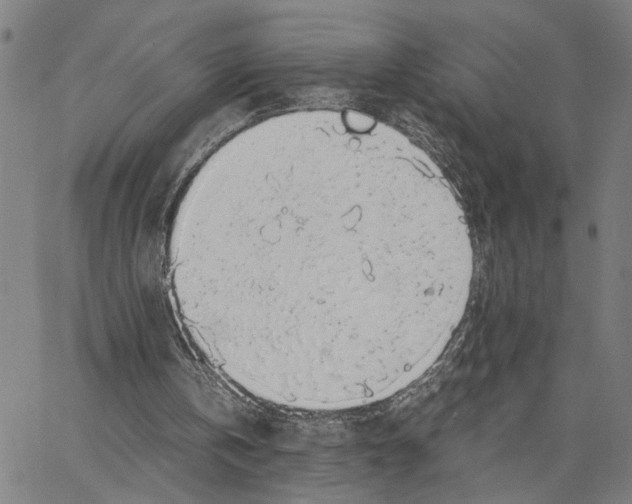 X0000062850146200602101610