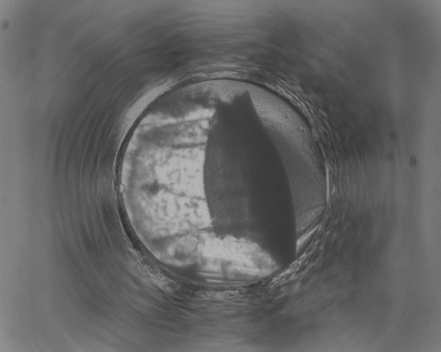 X0000062850147200602101610