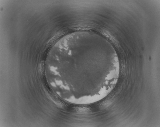 X0000062850165200602101610