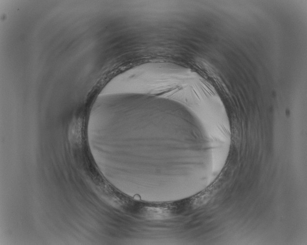 X0000062850167200602101610