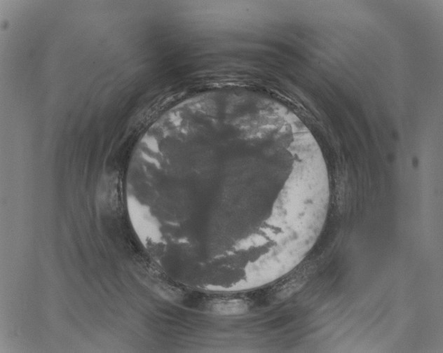 X0000062850169200602101610