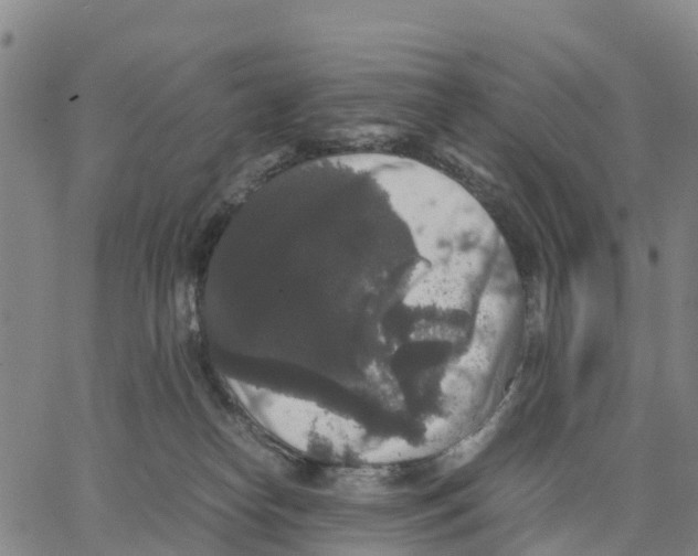 X0000062850182200602101611
