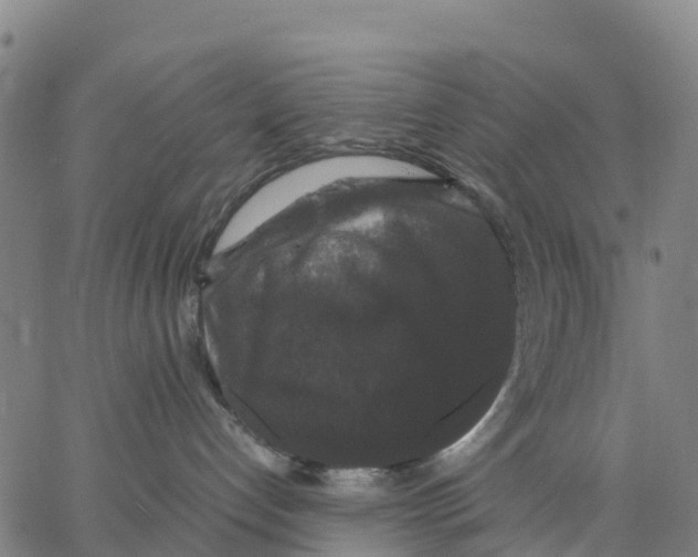 X0000062850192200602101611