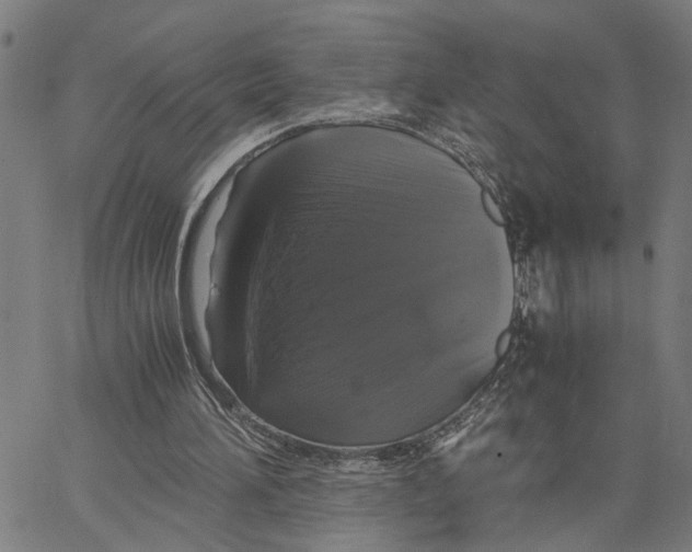 X0000062850196200602101610